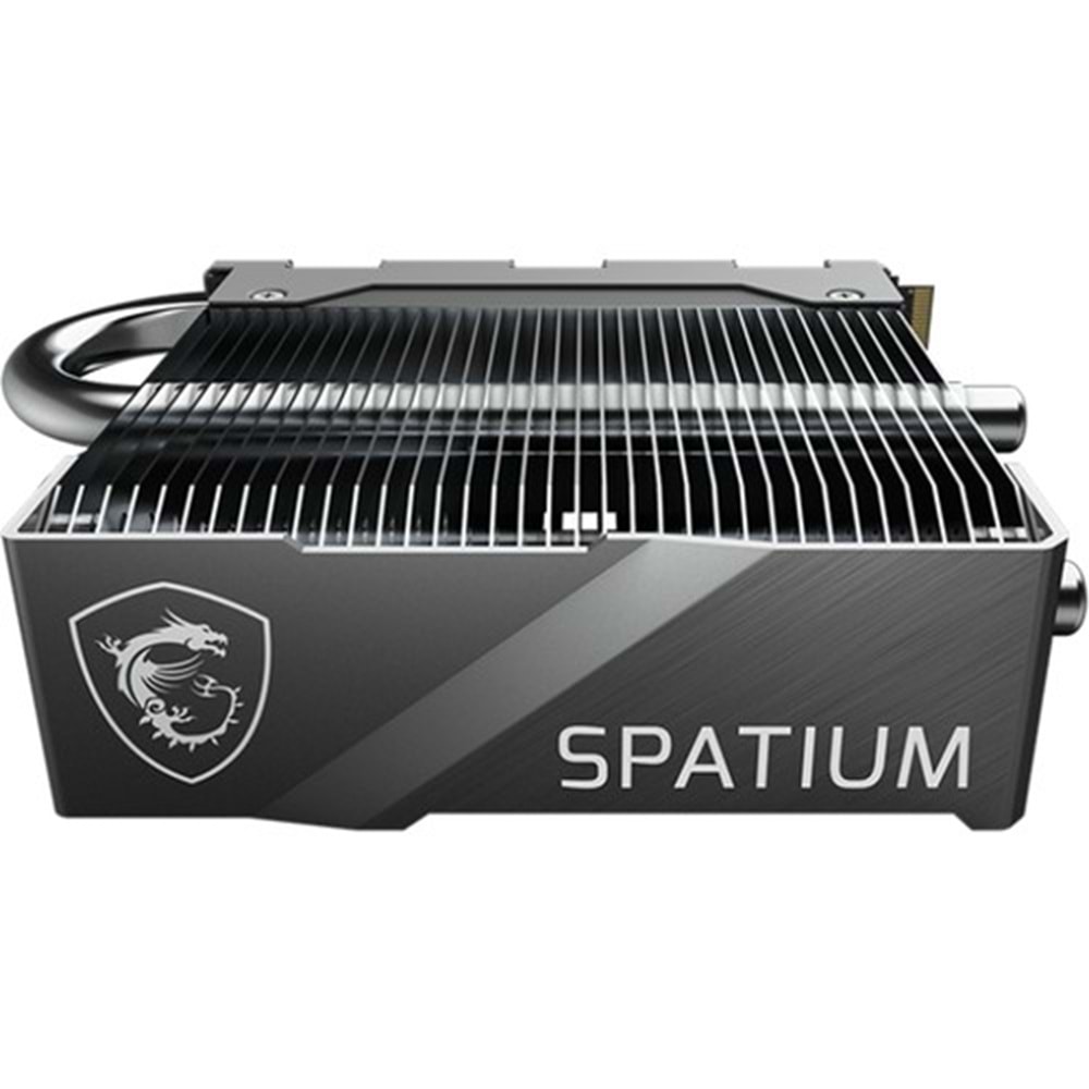 MSI Spatium M580 FROZR Soğutuculu 2TB PCIe 5. M.2