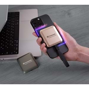 Transcend ESD420 Portable 1TB MagSafe Bej SSD (TS1TESD420G)
